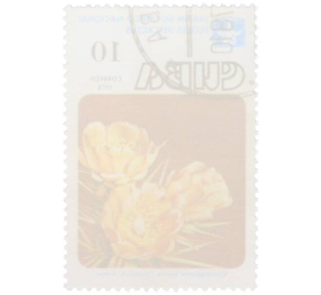 Почтовая марка 10 сентаво 1978 года Куба «Цветы кактусов — Цилиндропунция щетинистая» (Артикул: K12-78823) — Фото №2