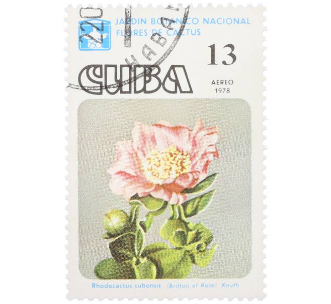 Почтовая марка 13 сентаво 1978 года Куба «Цветы кактусов — Родокактус кубинский» (Артикул: K12-78824) — Фото №1