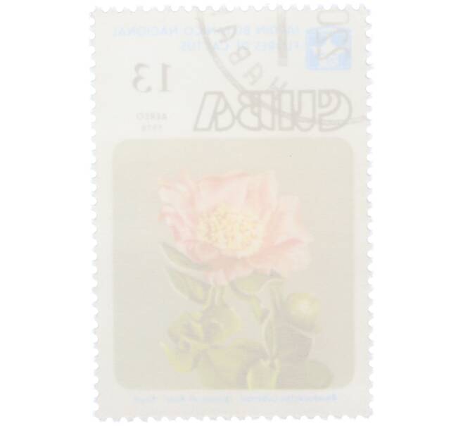 Почтовая марка 13 сентаво 1978 года Куба «Цветы кактусов — Родокактус кубинский» (Артикул: K12-78824) — Фото №2