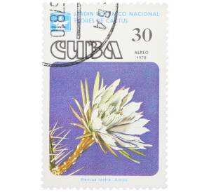 Почтовая марка 30 сентаво 1978 года Куба «Цветы кактусов — Харрисия тетра» — Фото №1