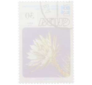 Почтовая марка 30 сентаво 1978 года Куба «Цветы кактусов — Харрисия тетра» — Фото №2