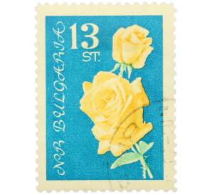 Почтовая марка 13 стотинок 1970 года Болгария «Желтые розы» — Фото №1