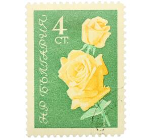 Почтовая марка 4 стотинки 1970 года Болгария «Желтые розы» — Фото №1