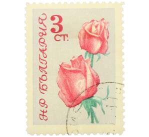 Почтовая марка 3 стотинки 1970 года Болгария «Красные розы» — Фото №1