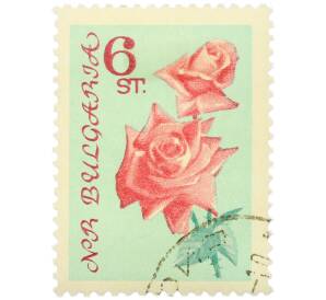 Почтовая марка 6 стотинки 1970 года Болгария «Розово-красные розы» — Фото №1