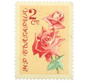 Почтовая марка 2 стотинки 1970 года Болгария «Розово-красные розы» — Фото №1