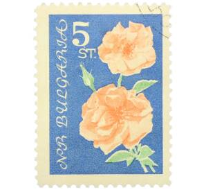 Почтовая марка 5 стотинок 1970 года Болгария «Светлые розы» — Фото №1
