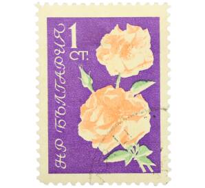 Почтовая марка 1 стотинка 1970 года Болгария «Светлые розы» — Фото №1