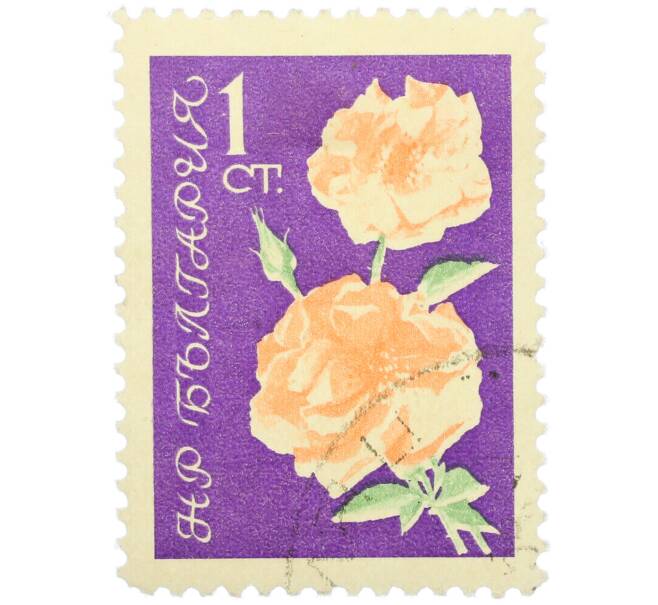Почтовая марка 1 стотинка 1970 года Болгария «Светлые розы» (Артикул: K12-78833) — Фото №1