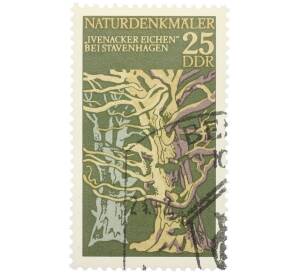 Почтовая марка 25 пфеннигов 1977 года Восточная Германия (ГДР) «Памятники природы — Ивенакские дубы» — Фото №1