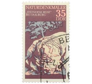 Почтовая марка 35 пфеннигов 1977 года Восточная Германия (ГДР) «Памятники природы — Штайнерне Розе» — Фото №1