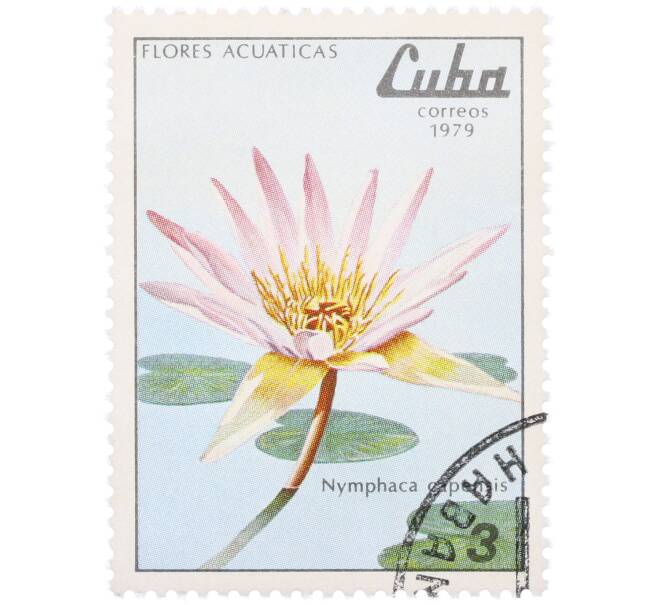 Почтовая марка 3 сентаво 1979 года Куба «Водные цветы — Кувшинка капская» (Артикул: K12-78839) — Фото №1
