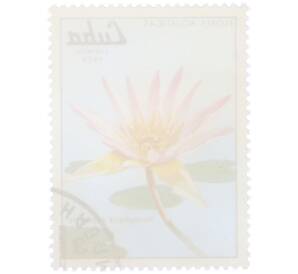 Почтовая марка 3 сентаво 1979 года Куба «Водные цветы — Кувшинка капская» — Фото №2