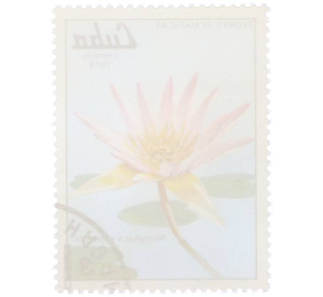 Почтовая марка 3 сентаво 1979 года Куба «Водные цветы — Кувшинка капская» (Артикул: K12-78839) — Фото №2