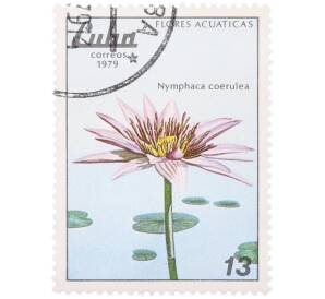 Почтовая марка 13 сентаво 1979 года Куба «Водные цветы — Кувшинка голубая» — Фото №1