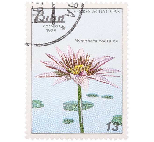 Почтовая марка 13 сентаво 1979 года Куба «Водные цветы — Кувшинка голубая» (Артикул: K12-78841) — Фото №1