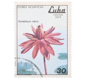 Почтовая марка 30 сентаво 1979 года Куба «Водные цветы — Кувшинка красная» — Фото №1