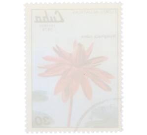 Почтовая марка 30 сентаво 1979 года Куба «Водные цветы — Кувшинка красная» — Фото №2