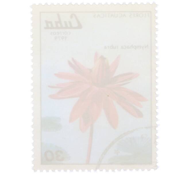 Почтовая марка 30 сентаво 1979 года Куба «Водные цветы — Кувшинка красная» (Артикул: K12-78842) — Фото №2