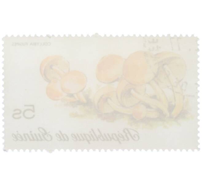 Почтовая марка 5 шиллингов 1977 года Гвинея «Коллибия веретеноногая» (Артикул: K12-78843) — Фото №2