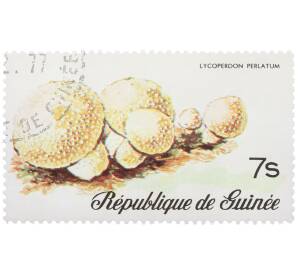 Почтовая марка 7 шиллингов 1977 года Гвинея «Дождевик жемчужный» — Фото №1