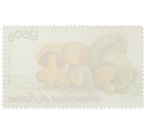 Почтовая марка 9.5 шиллингов 1977 года Гвинея «Рыжик сосновый» — Фото №2