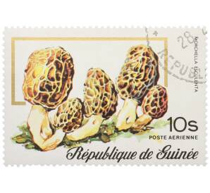 Почтовая марка 10 шиллингов 1977 года Гвинея «Сморчок обыкновенный» — Фото №1