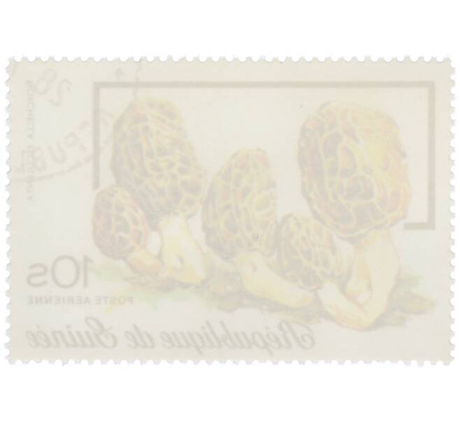 Почтовая марка 10 шиллингов 1977 года Гвинея «Сморчок обыкновенный» (Артикул: K12-78847) — Фото №2