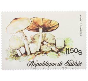 Почтовая марка 11.5 шиллингов 1977 года Гвинея «Шампиньон обыкновенный» — Фото №1