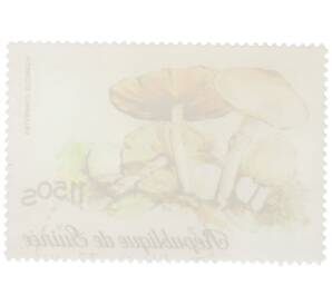 Почтовая марка 11.5 шиллингов 1977 года Гвинея «Шампиньон обыкновенный» — Фото №2