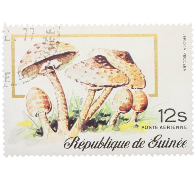 Почтовая марка 12 шиллингов 1977 года Гвинея «Гриб-зонтик пестрый» (Артикул: K12-78849) — Фото №1