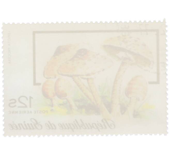 Почтовая марка 12 шиллингов 1977 года Гвинея «Гриб-зонтик пестрый» (Артикул: K12-78849) — Фото №2