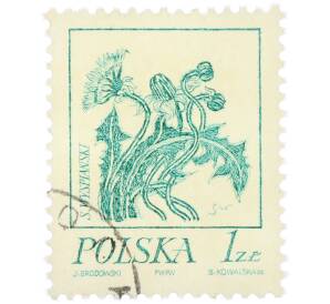 Почтовая марка 1 злотый 1974 года Польша «Станислав Выспяньски — Одуванчик» — Фото №1