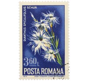 Почтовая марка 3.6 лева 1974 года Румыния «Дикие цветы — Гвоздика колючая» — Фото №1