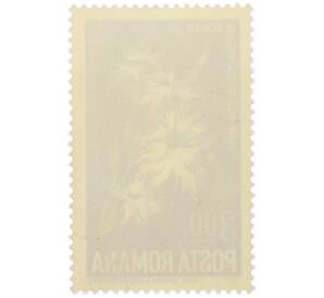 Почтовая марка 3.6 лева 1974 года Румыния «Дикие цветы — Гвоздика колючая» — Фото №2