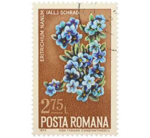 Почтовая марка 2.75 лева 1974 года Румыния «Дикие цветы — Незабудочник карликовый» — Фото №1