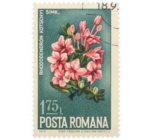 Почтовая марка 1.75 лева 1974 года Румыния «Дикие цветы — Рододендрон Кочи» — Фото №1