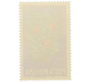 Почтовая марка 55 бани 1974 года Румыния «Дикие цветы — Тис ягодный» — Фото №2