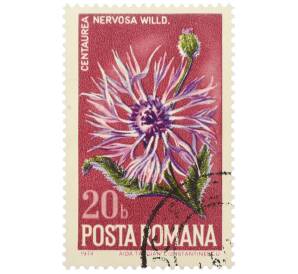 Почтовая марка 20 бани 1974 года Румыния «Дикие цветы — Василек жилковатый» — Фото №1