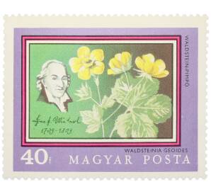 Почтовая марка 40 филлеров 1971 года Венгрия «200-летие Ботанического сада Будапештского университета — Гравилат лесной» — Фото №1