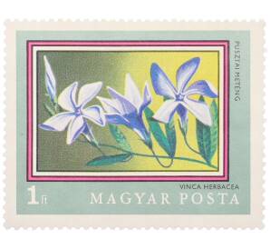 Почтовая марка 1 форинт 1971 года Венгрия «200-летие Ботанического сада Будапештского университета — Барвинок травянистый» — Фото №1