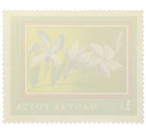 Почтовая марка 1 форинт 1971 года Венгрия «200-летие Ботанического сада Будапештского университета — Барвинок травянистый» — Фото №2