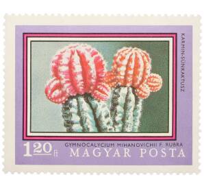 Почтовая марка 1.2 форинта 1971 года Венгрия «200-летие Ботанического сада Будапештского университета — Гимнокалициум Михановича» — Фото №1