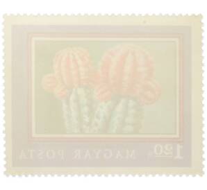 Почтовая марка 1.2 форинта 1971 года Венгрия «200-летие Ботанического сада Будапештского университета — Гимнокалициум Михановича» — Фото №2