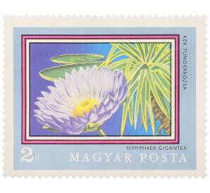 Почтовая марка 2 форинта 1971 года Венгрия «200-летие Ботанического сада Будапештского университета — Голубая гигантская кувшинка» — Фото №1