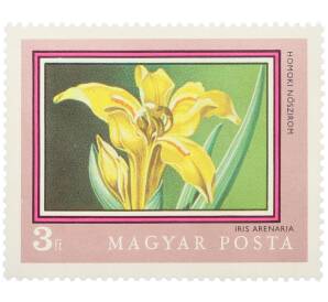 Почтовая марка 3 форинта 1971 года Венгрия «200-летие Ботанического сада Будапештского университета — Ирис песчаный» — Фото №1