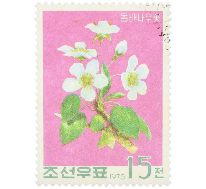 Почтовая марка 15 чон 1975 года Северная Корея «Груша уссурийская» (Артикул: K12-78872) — Фото №1