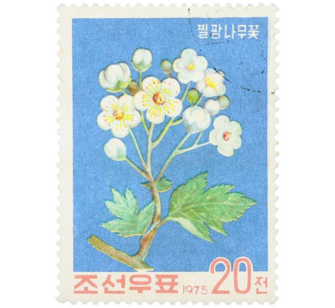 Почтовая марка 20 чон 1975 года Северная Корея «Цветы боярышника» (Артикул: K12-78873) — Фото №1