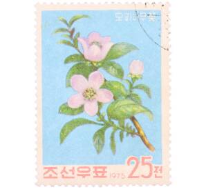 Почтовая марка 25 чон 1975 года Северная Корея «Цветы айвы китайской» — Фото №1