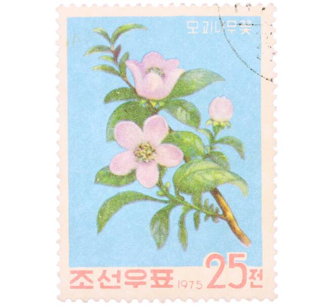 Почтовая марка 25 чон 1975 года Северная Корея «Цветы айвы китайской» (Артикул: K12-78874) — Фото №1